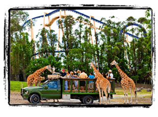 Redington Shores - Gulf Beaches Attractions St Pete FL